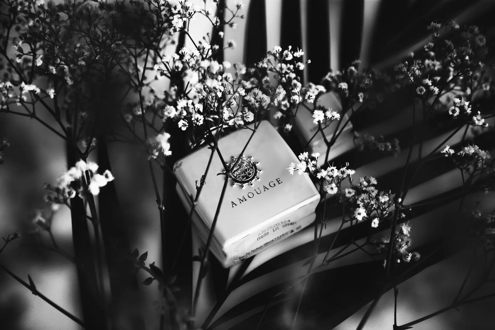 A black and white close-up of light-colored Amouage perfume boxes surrounded by delicate small white flowers and leafy branches.